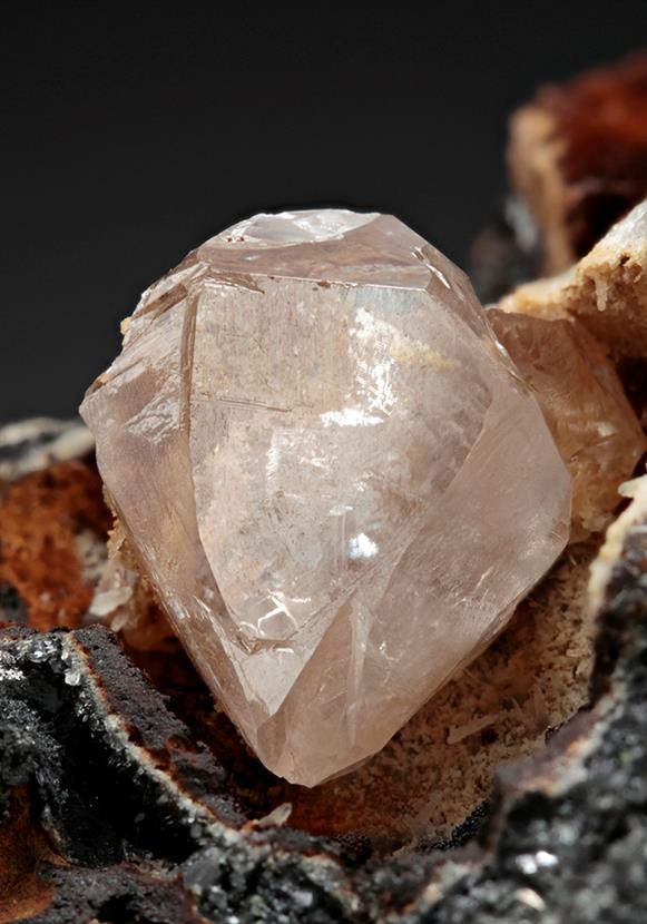 CC11768 specimen image