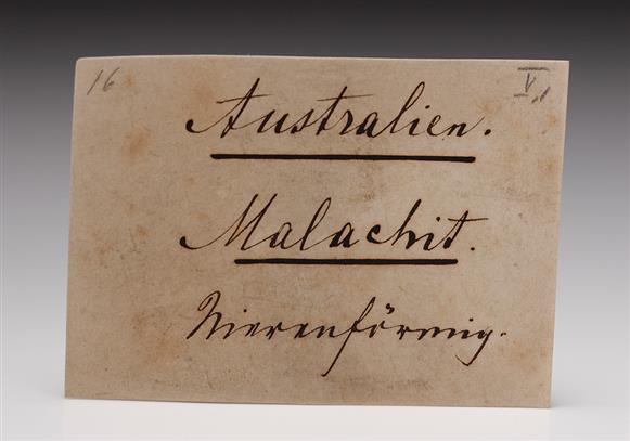 CC11777 specimen image