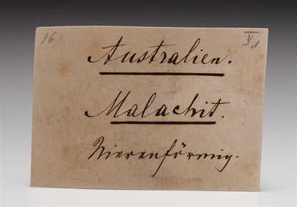 CC11777 specimen image