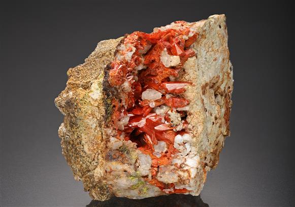 CC11823 specimen image
