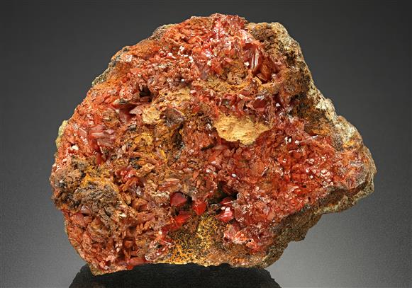 CC11827 specimen image