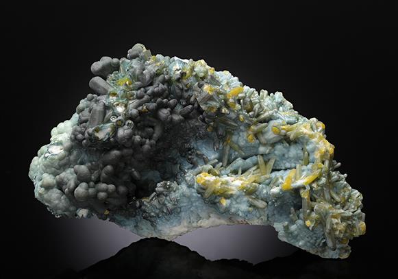 CC11830 specimen image