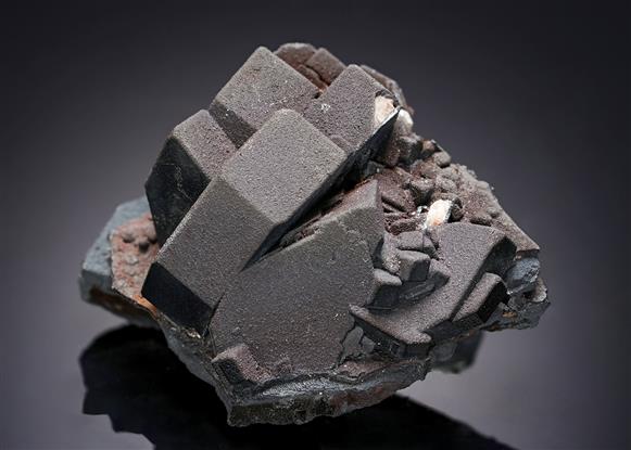 CC11853 specimen image