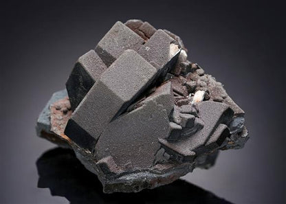 CC11853 specimen image