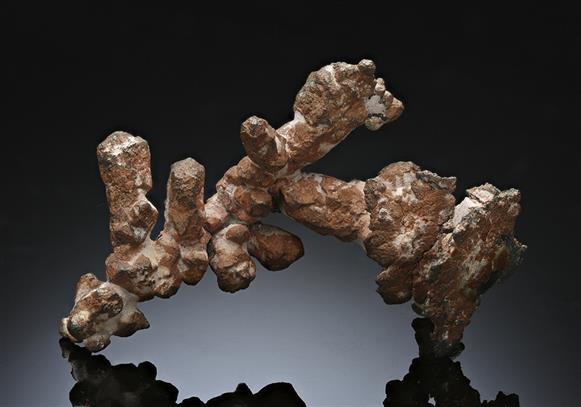 CC11863 specimen image