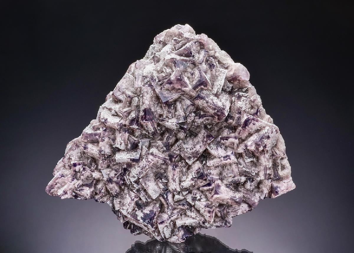 CC11870 specimen image