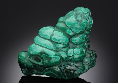 CC11883 specimen image