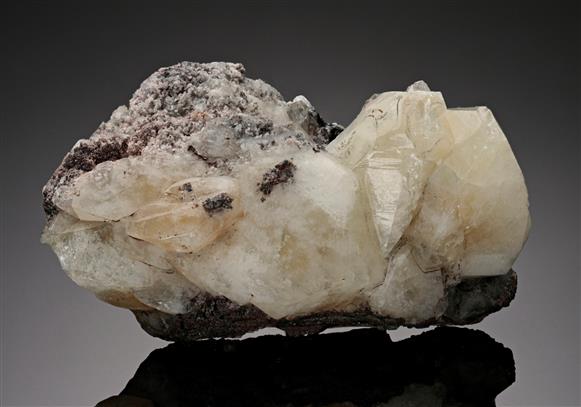 CC11891 specimen image