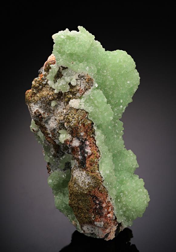 CC11896 specimen image