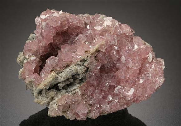 CC11899 specimen image