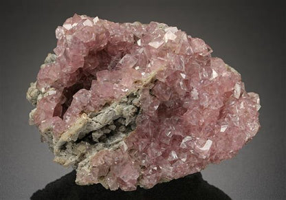 CC11899 specimen image