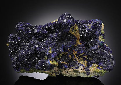 CC11906 specimen image