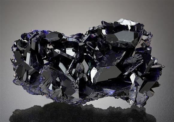 CC11907 specimen image