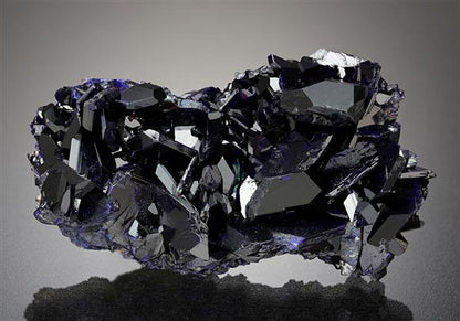 CC11907 specimen image