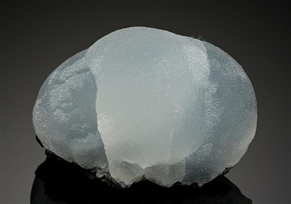 CC11929 specimen image