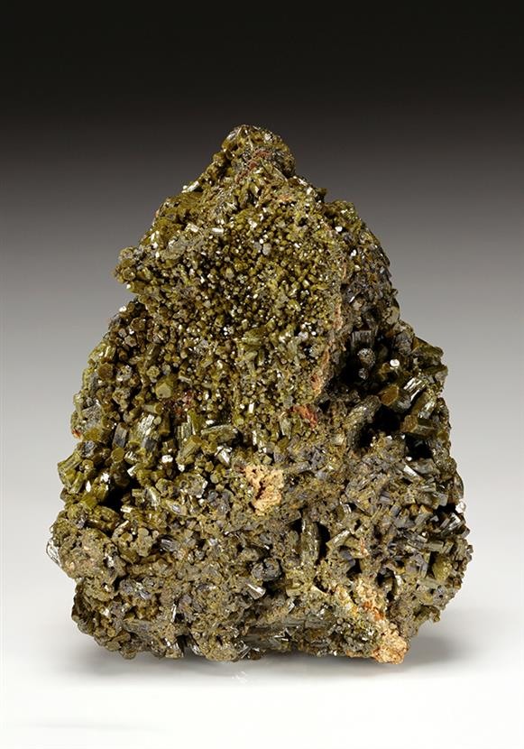 CC11939 specimen image