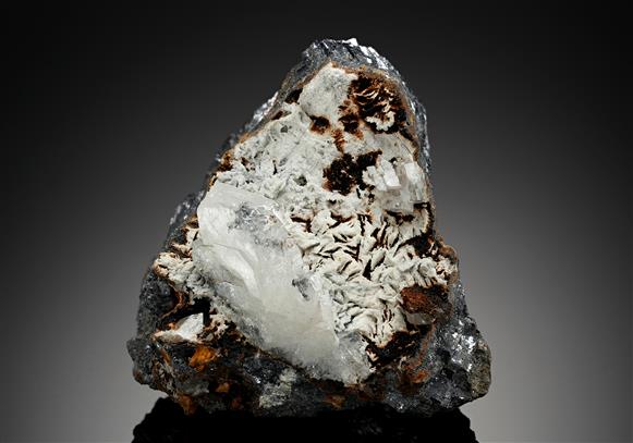 CC11941 specimen image