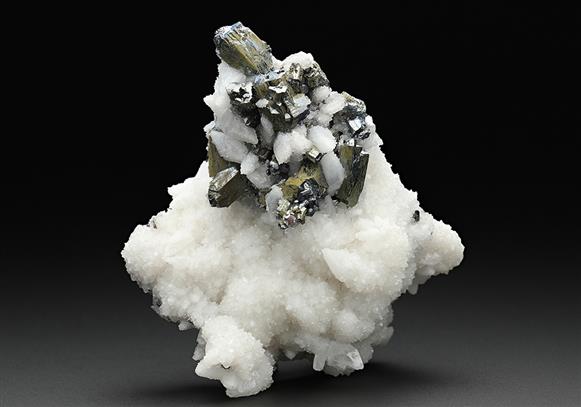 CC12000 specimen image