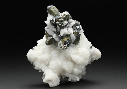 CC12000 specimen image