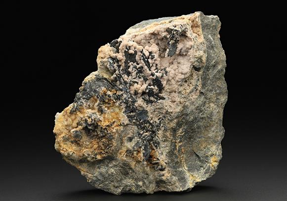 CC12001 specimen image