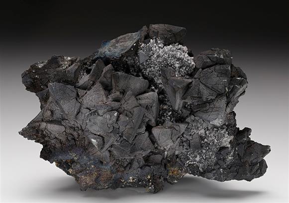 CC12005 specimen image