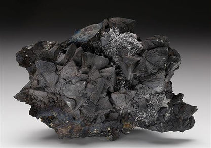 CC12005 specimen image