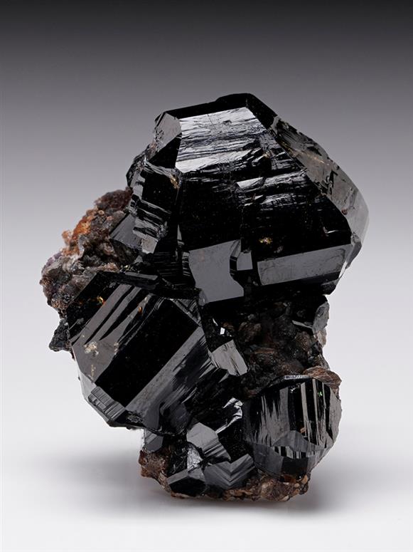CC12008 specimen image