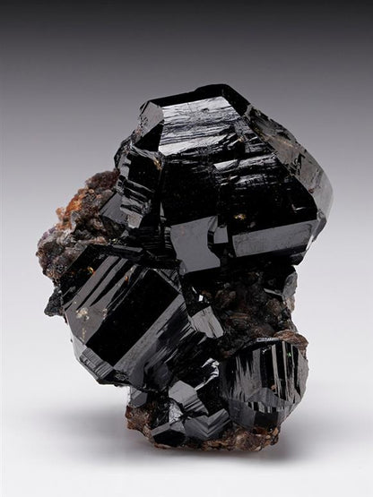 CC12008 specimen image