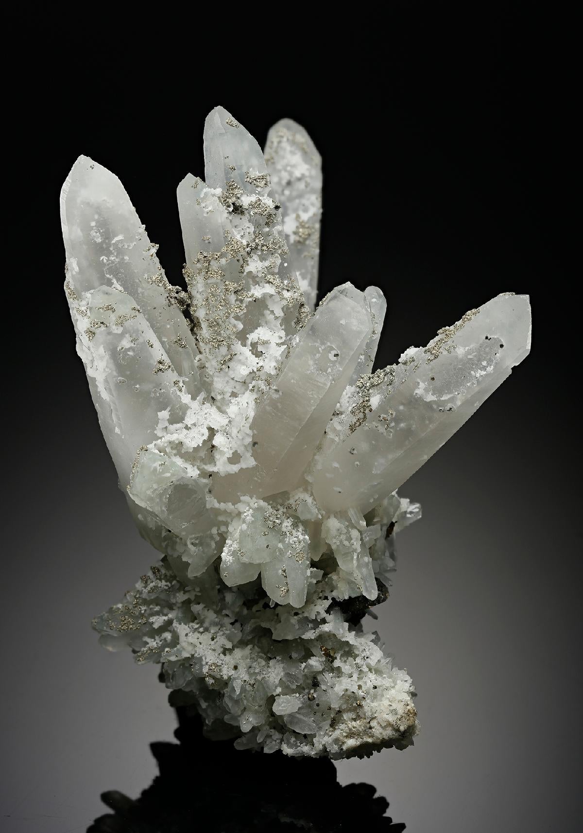 CC12013 specimen image