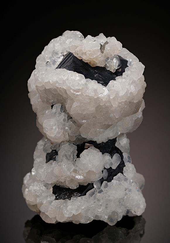 CC12014 specimen image