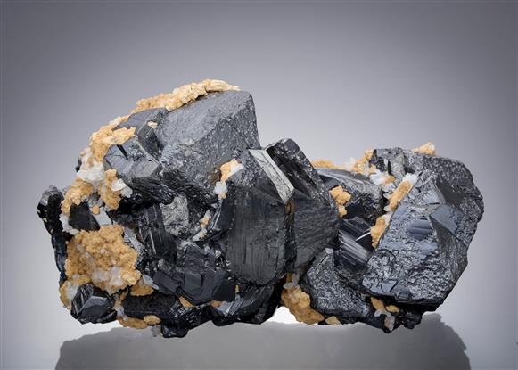 CC12024 specimen image