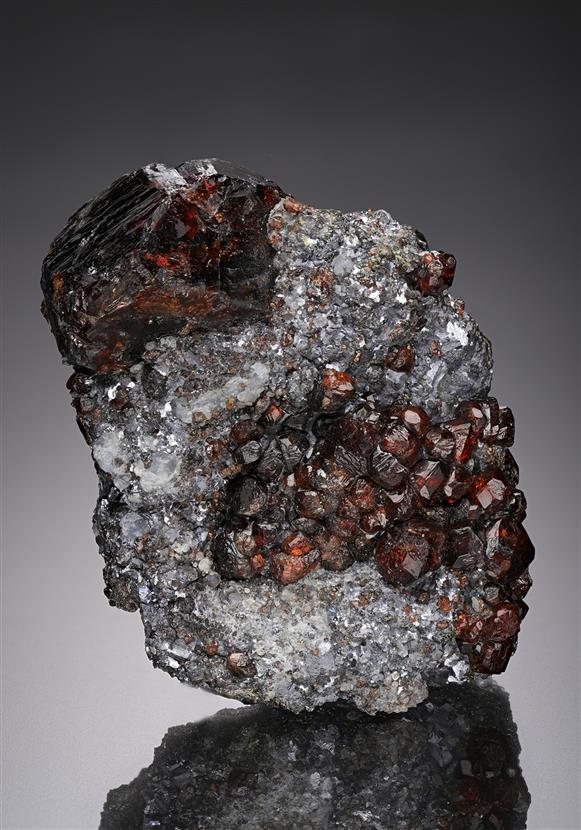 CC12040 specimen image