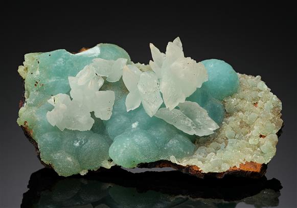 CC12047 specimen image