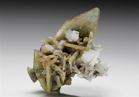 CC12080 specimen image
