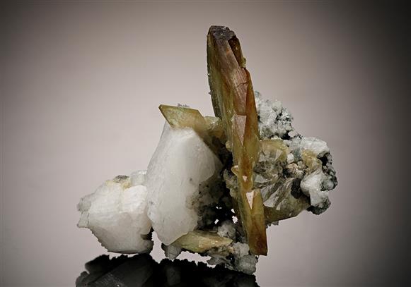 CC12081 specimen image