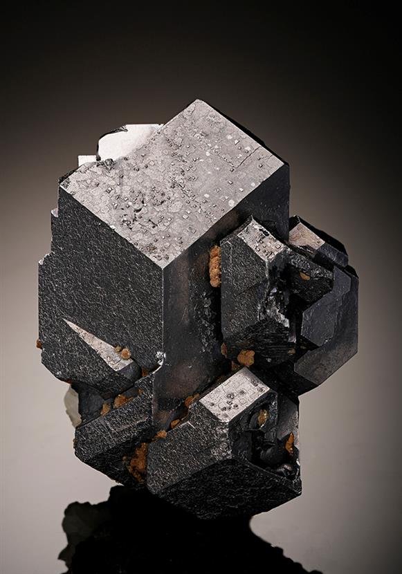 CC12082 specimen image