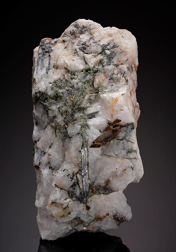CC12090 specimen image