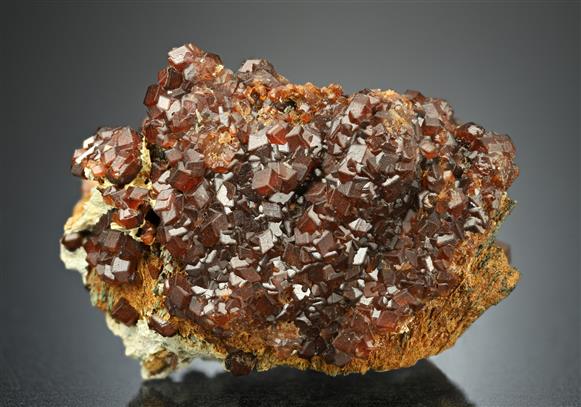 CC12101 specimen image