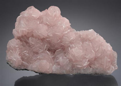 CC12110 specimen image