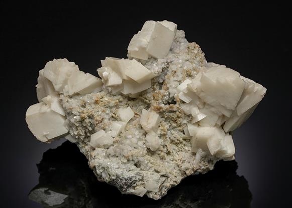 CC12112 specimen image