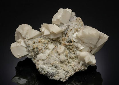 CC12112 specimen image
