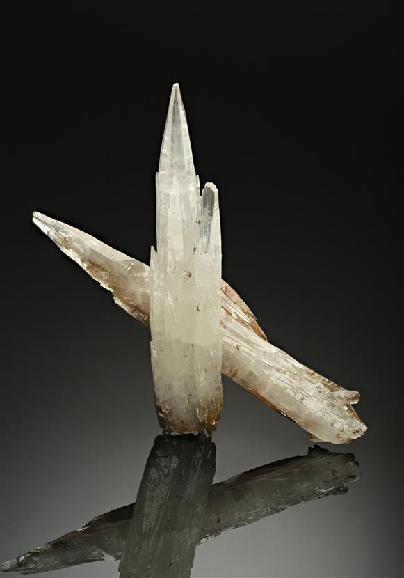 CC12124 specimen image