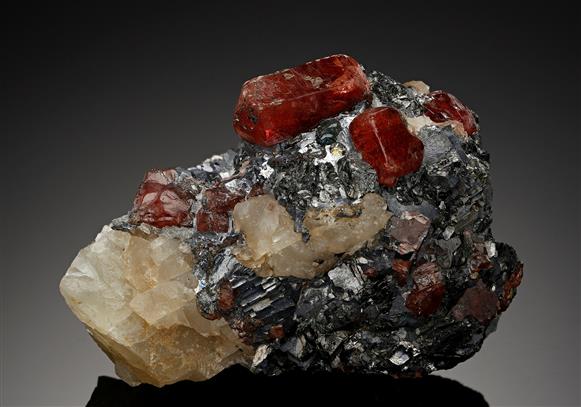 CC12127 specimen image