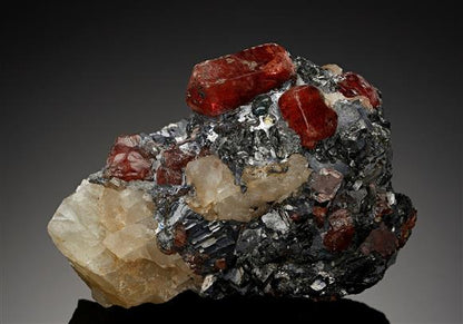 CC12127 specimen image