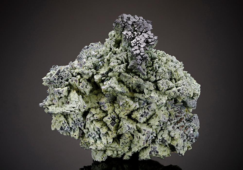 CC12129 specimen image