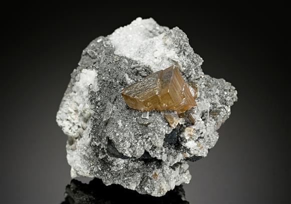 CC12137 specimen image