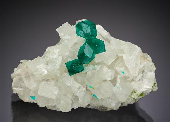 CC12144 specimen image
