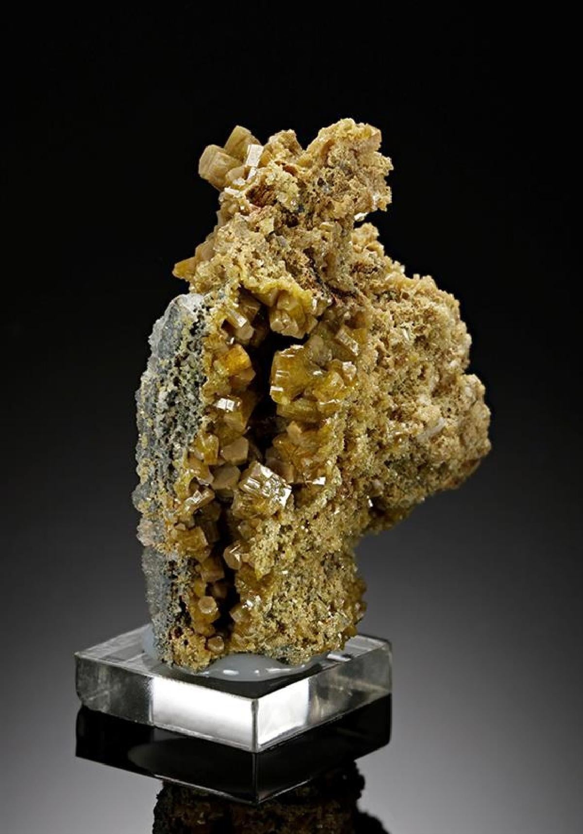 CC12181 specimen image