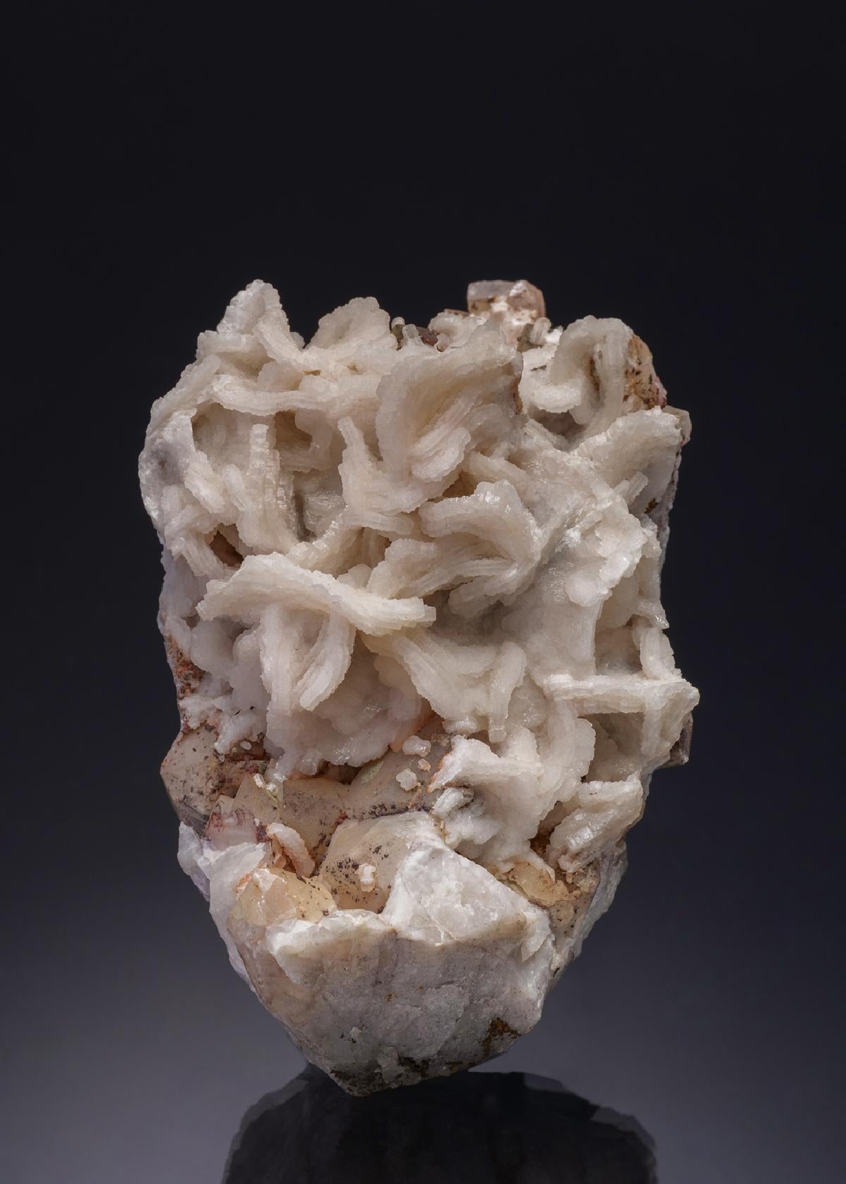 CC1220 specimen image