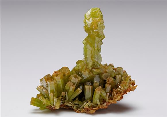CC12213 specimen image